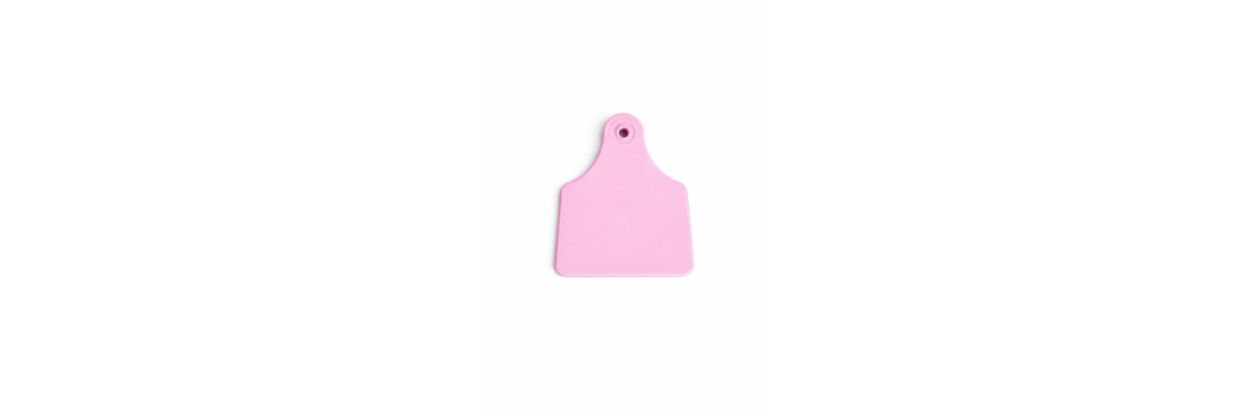 UHF Tag
