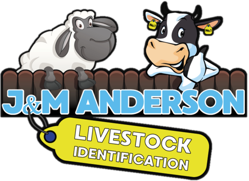 J&M Anderson